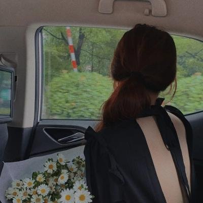 小狗！ 在线观看封面